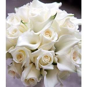 Meet your Posher, Millie